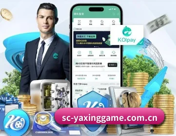 亚星官网 APP